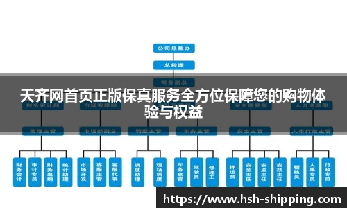 天齐网首页正版保真服务全方位保障您的购物体验与权益