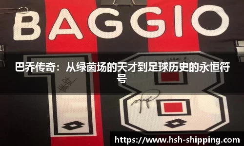 巴乔传奇：从绿茵场的天才到足球历史的永恒符号