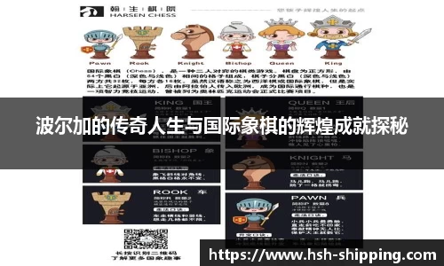 波尔加的传奇人生与国际象棋的辉煌成就探秘